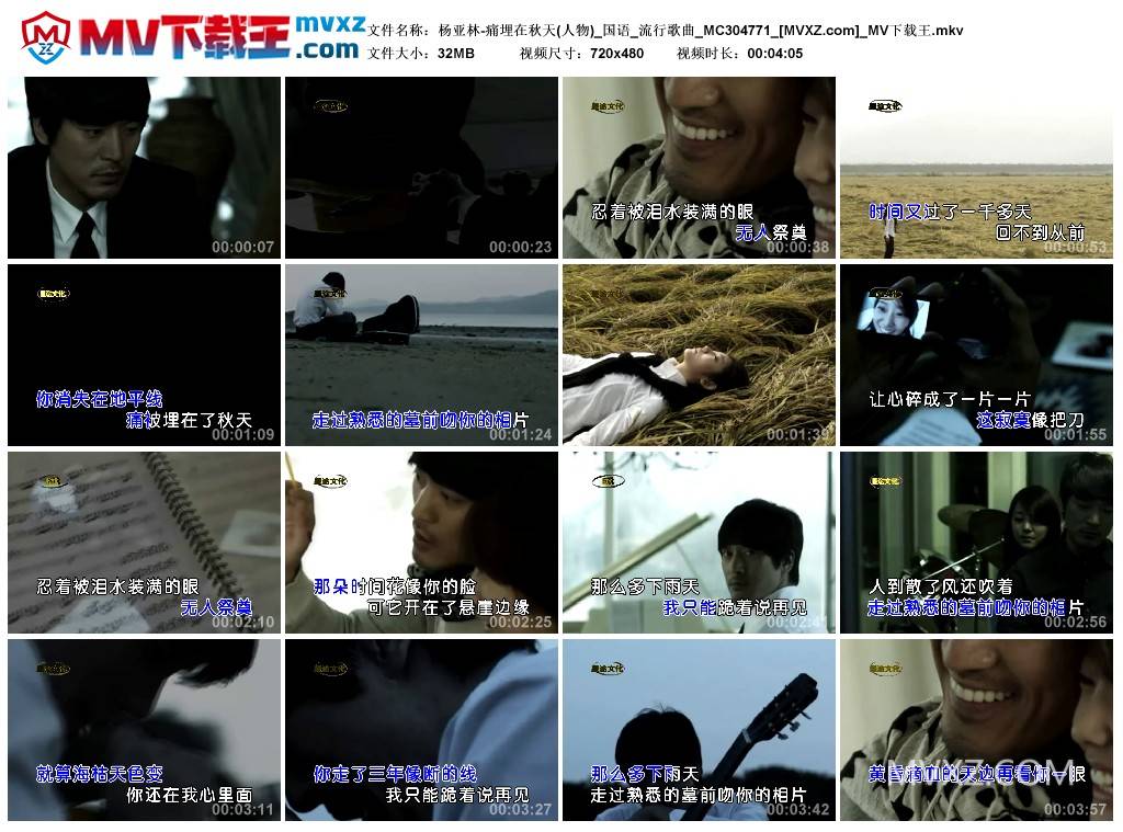 杨亚林-痛埋在秋天(人物)_国语_流行歌曲_MC304771